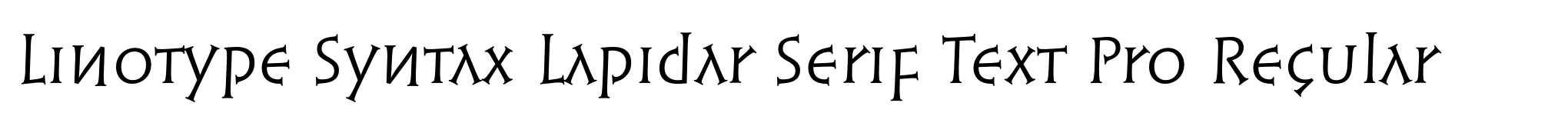 Linotype Syntax Lapidar Serif Text Pro Regular image